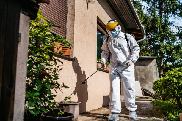 Best Best Pest Control Companies  in Gonzalez, FL