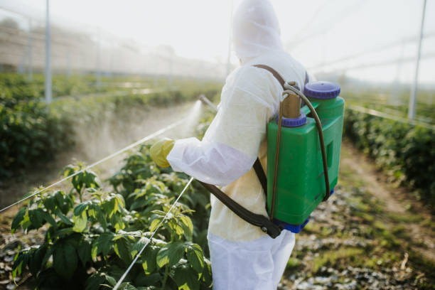 Best Affordable Pest Control Services  in Gonzalez, FL
